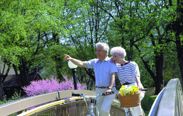 產(chǎn)業(yè)概況(圖1)